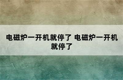 电磁炉一开机就停了 电磁炉一开机就停了